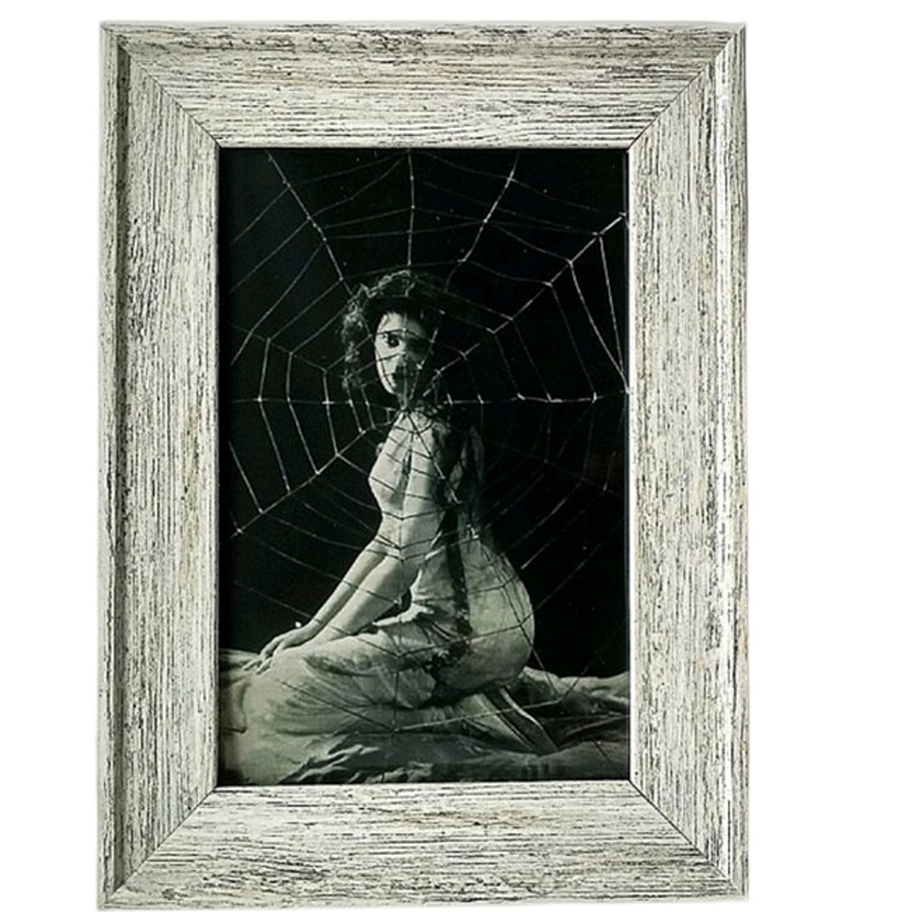 Vintage Beautiful Woman Spider Web Wiccan Gypsy Victorian Portrait framed photo